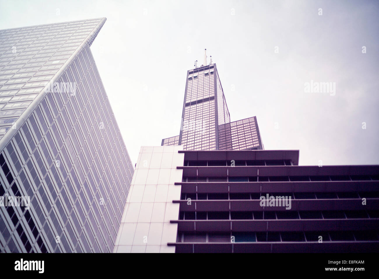 USA, Illinois, Cook County, Chicago, Willis Tower in Chicago Stock Photo