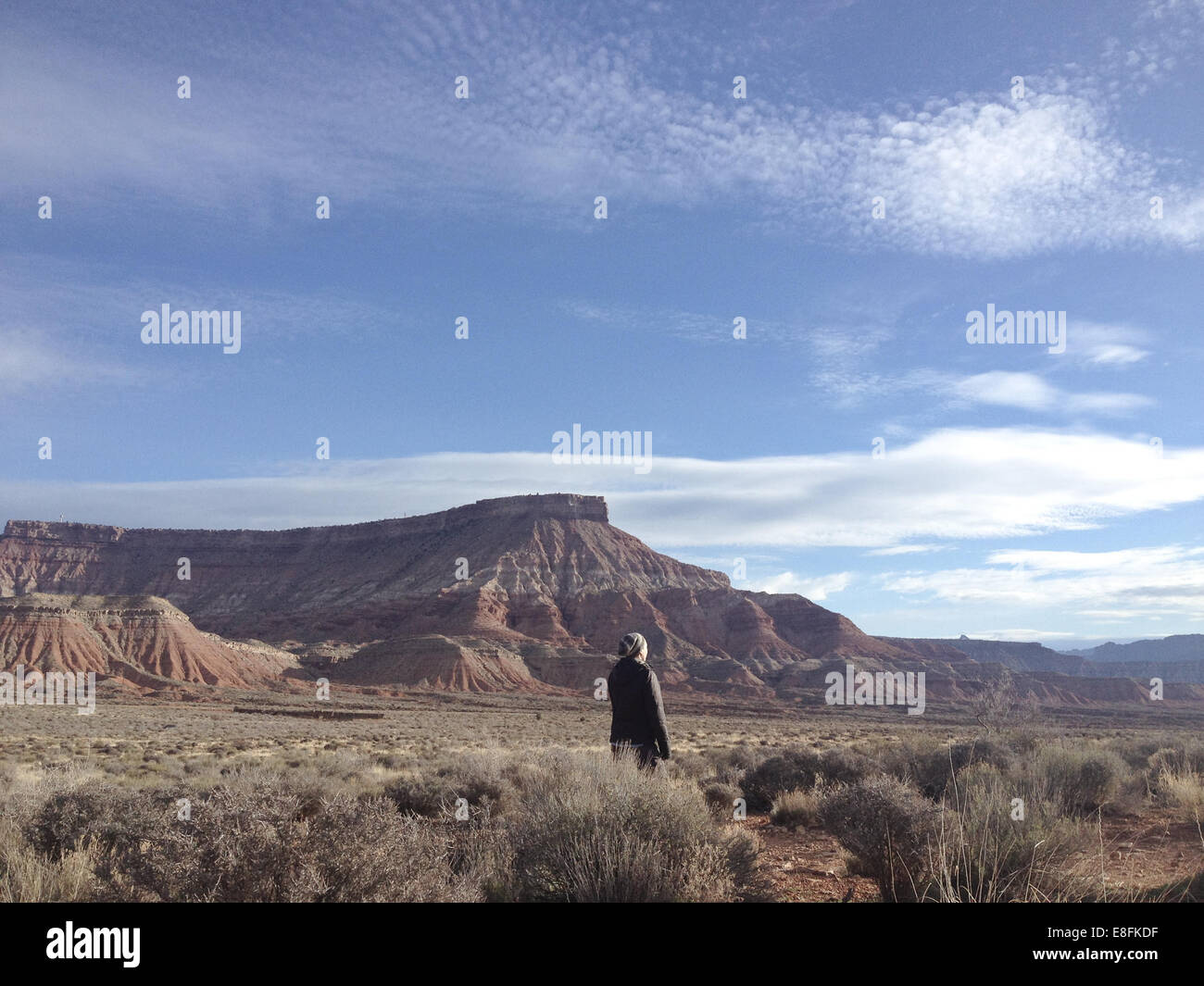 Rear view of woman near Zion National Park, Utah, USA Stock Photo