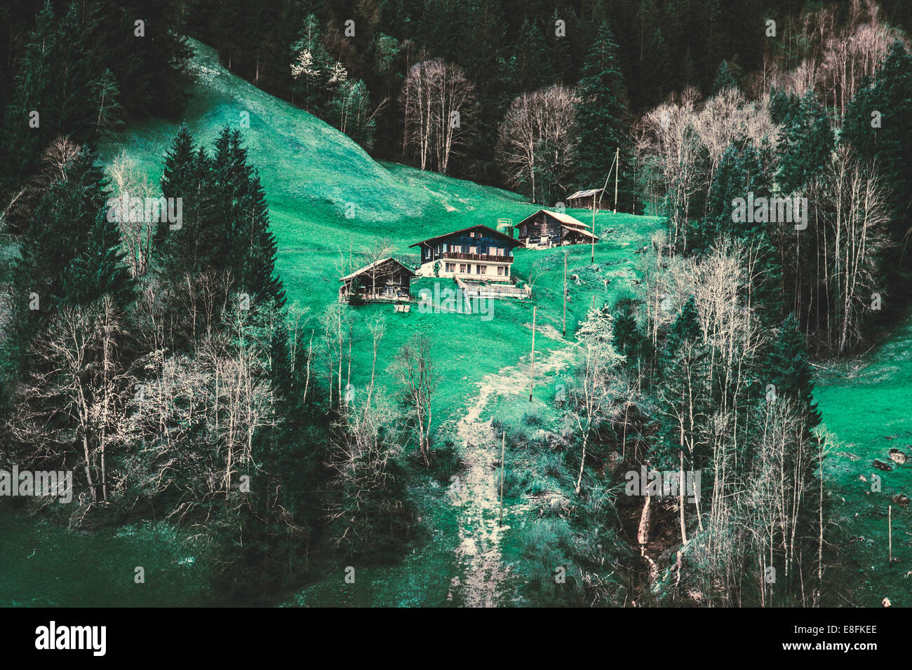 Switzerland, Grindelwald, Alps Houses Stock Photo