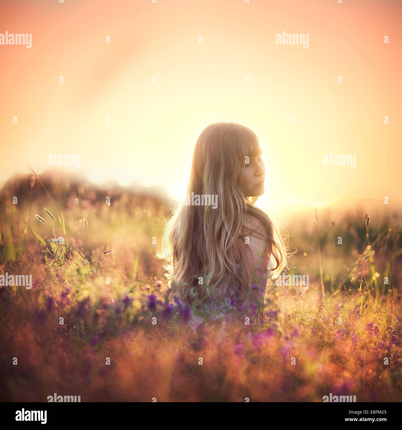Woman sitting in a meadow at sunset looking over her shoulder, Norway Stock Photo