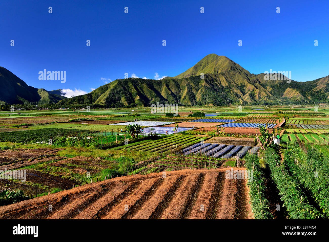 Indonesia, Lombok island, View of Sembalun farm Stock Photo