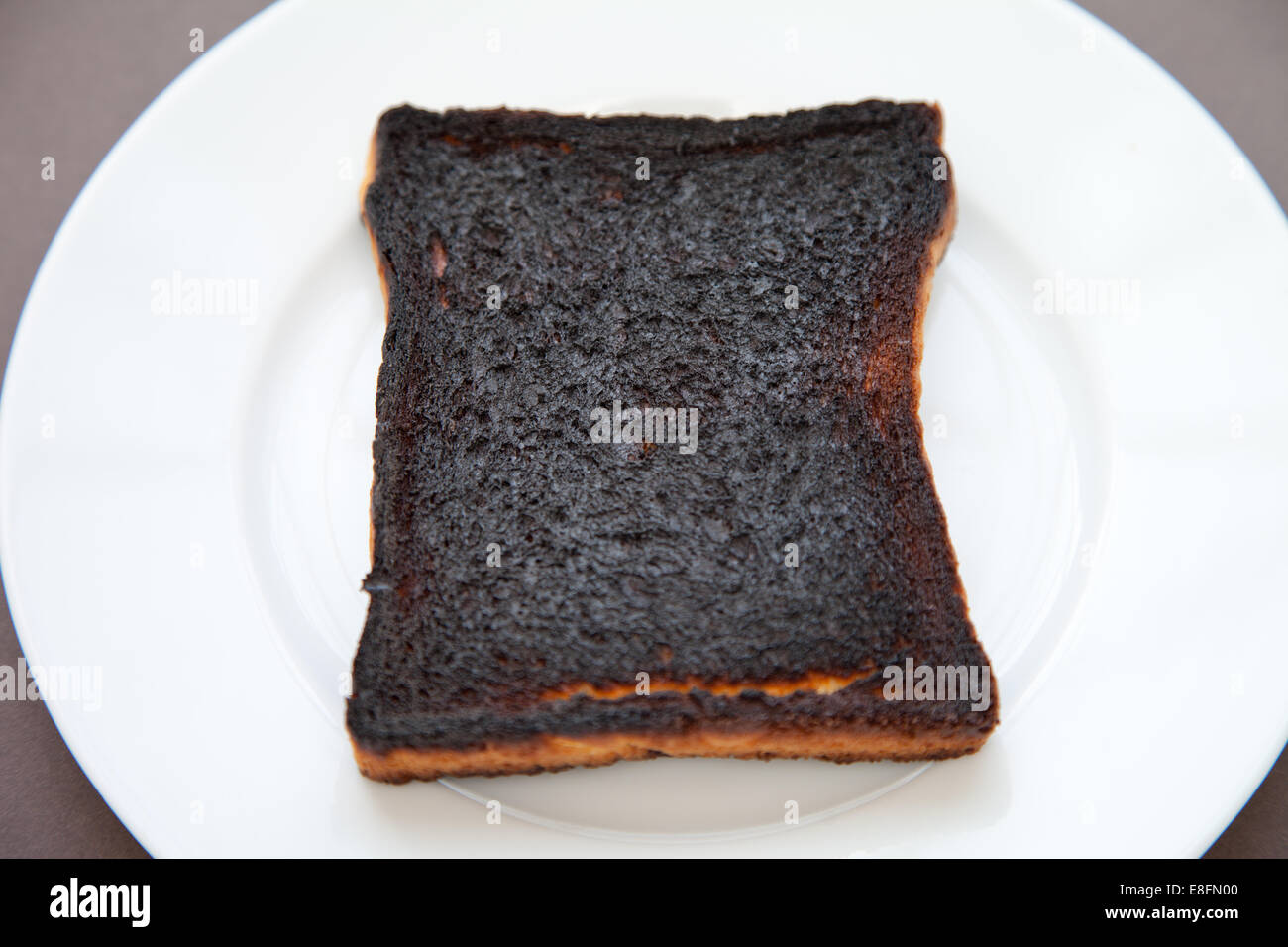 slice-of-burnt-toast-on-a-plate-E8FN00.jpg