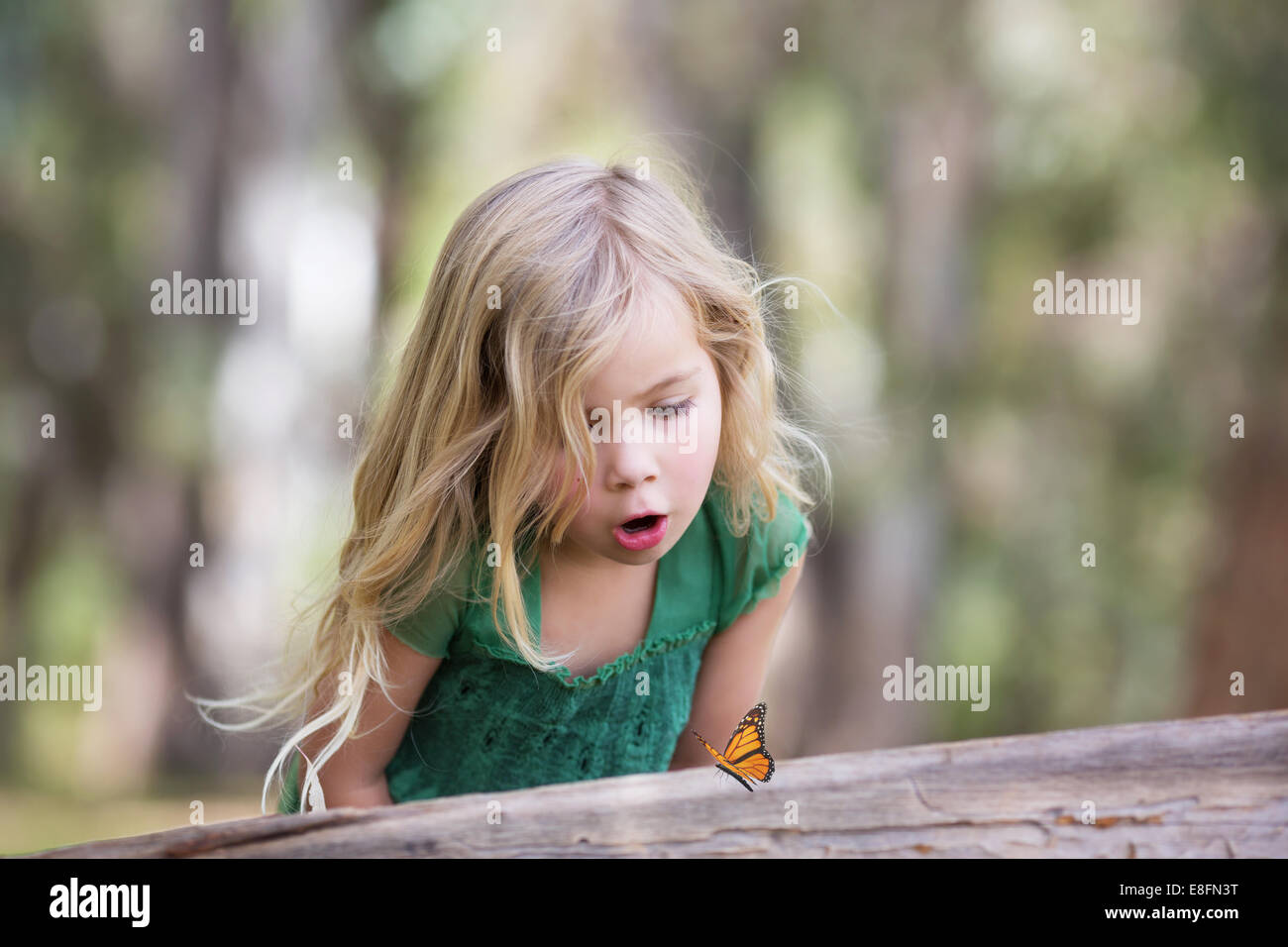 Girl looking at butterfly on log in the forest, California, USA Stock Photo