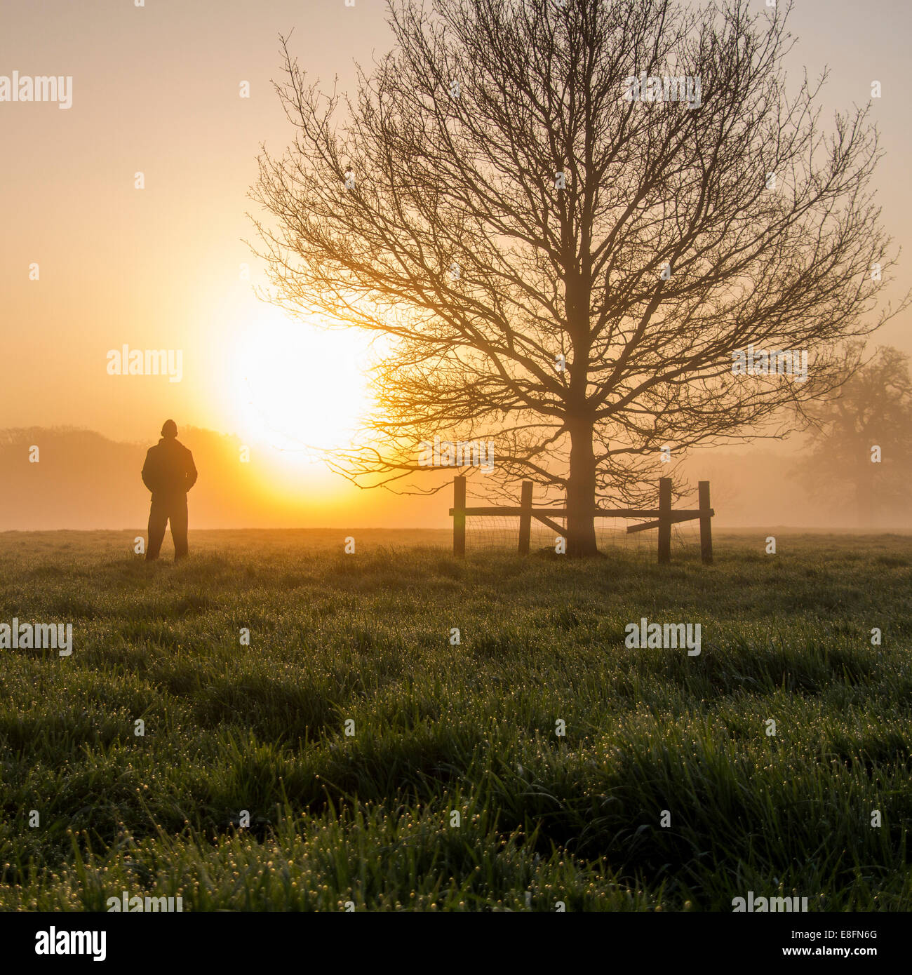 United Kingdom, England, Berkshire, Man watching sunrise Stock Photo