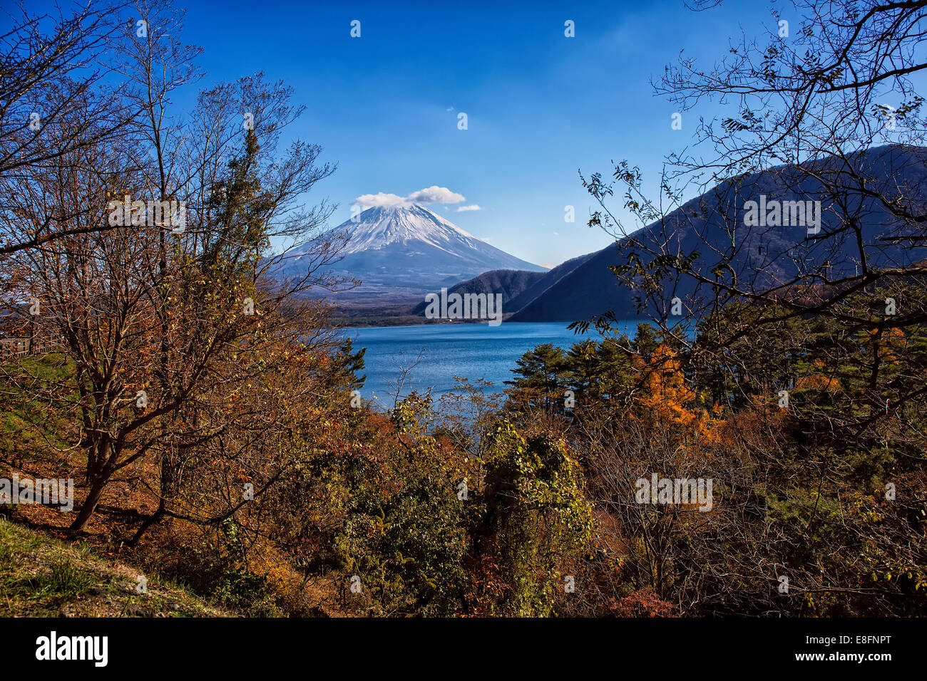 Japan, Yamanashi Prefecture, View of Mt Fuji Stock Photo