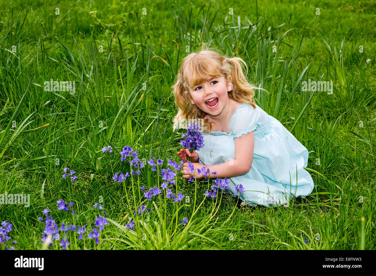 UK, Warwickshire, Rugby, Happy girl (4-5) picking up bluebells on meadow Stock Photo
