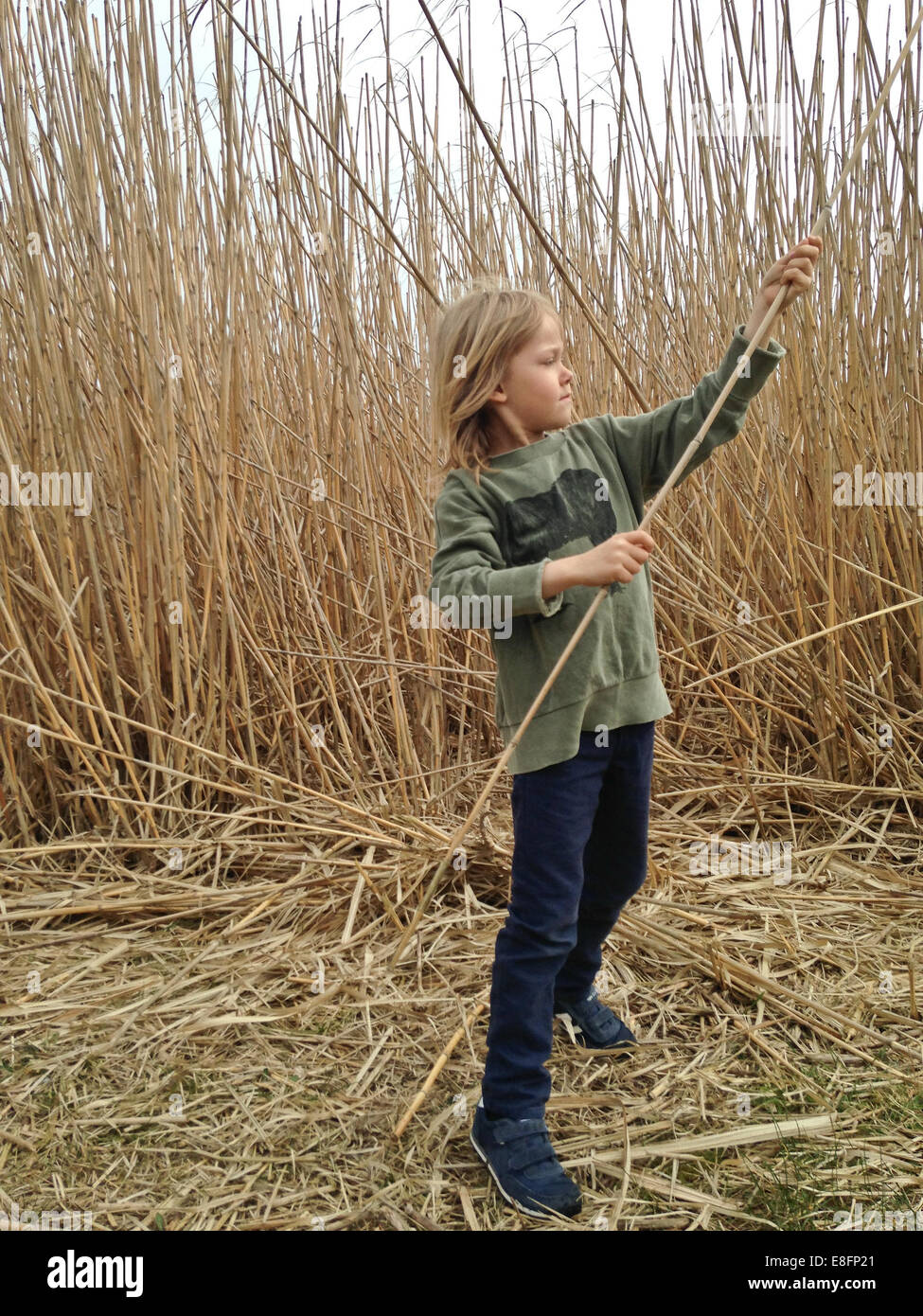 Boy playing outdoors with giant reeds Stock Photo