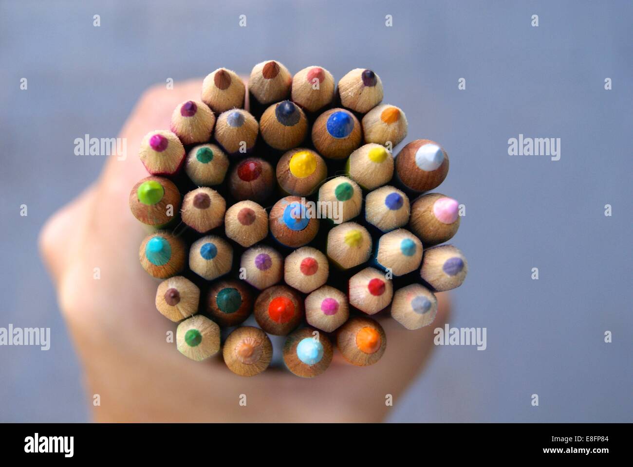 Human hand holding colored pencils Stock Photo