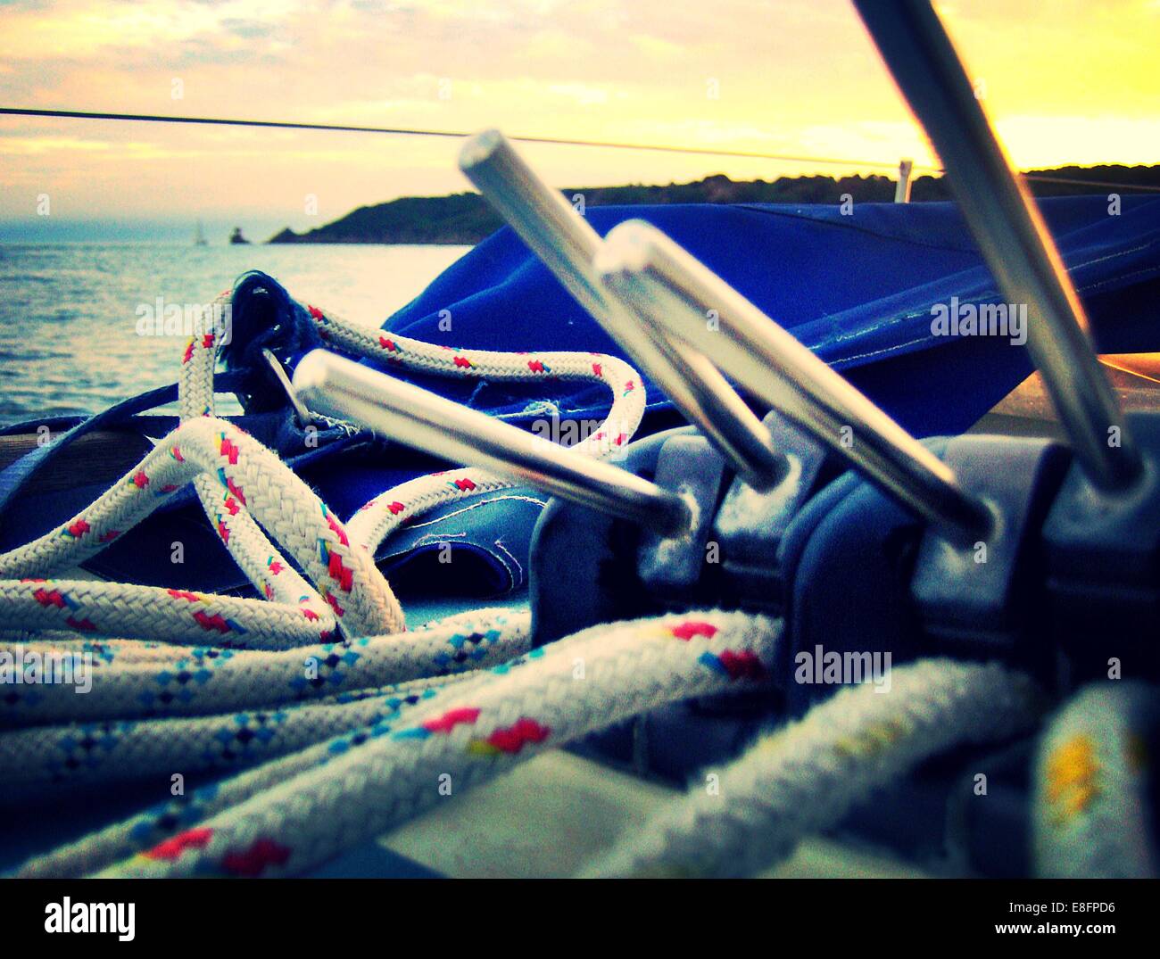 England, Channel Islands, Jersey, Saint Helier, Close up shot of