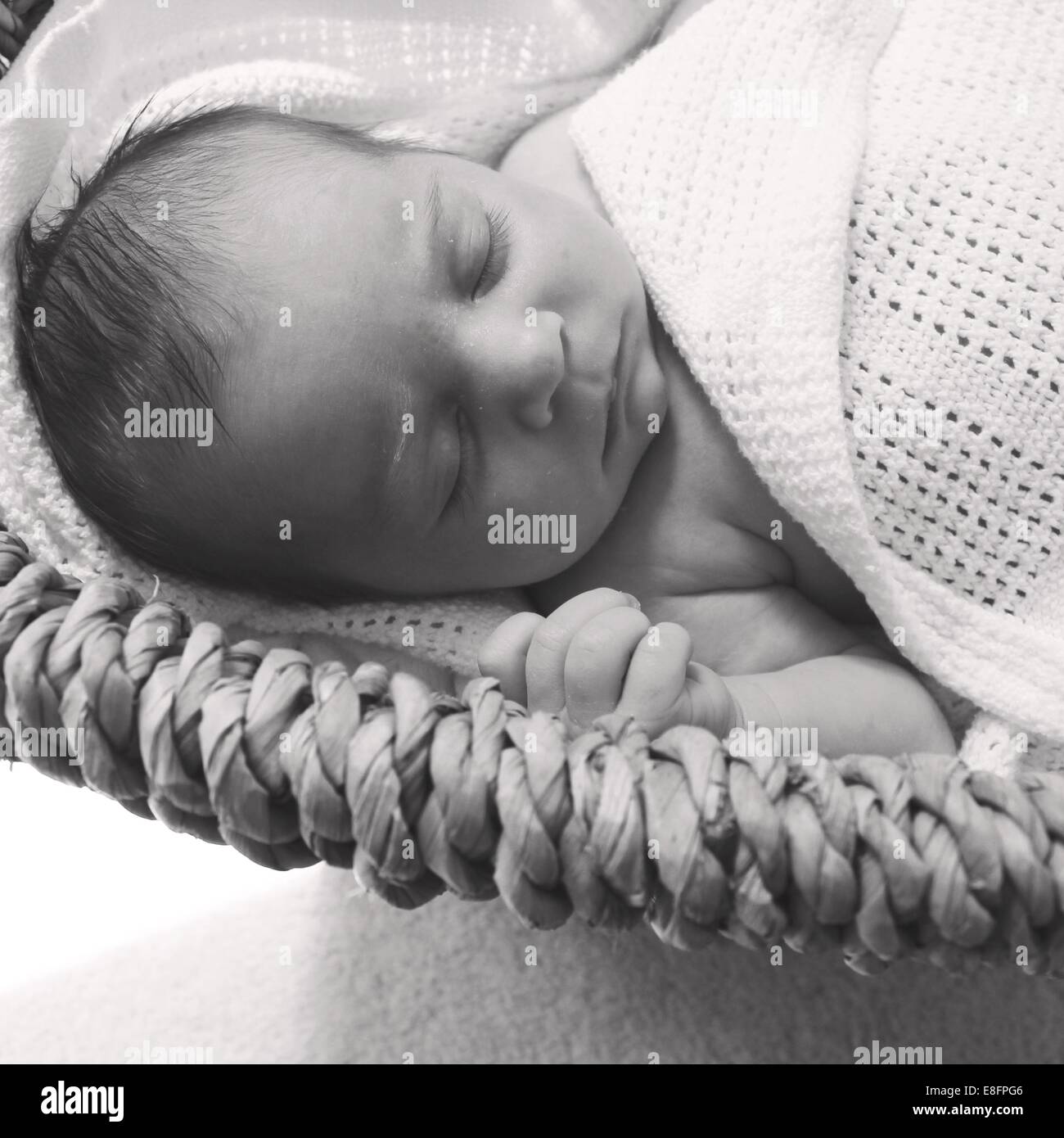 Baby girl sleeping in moses basket Stock Photo