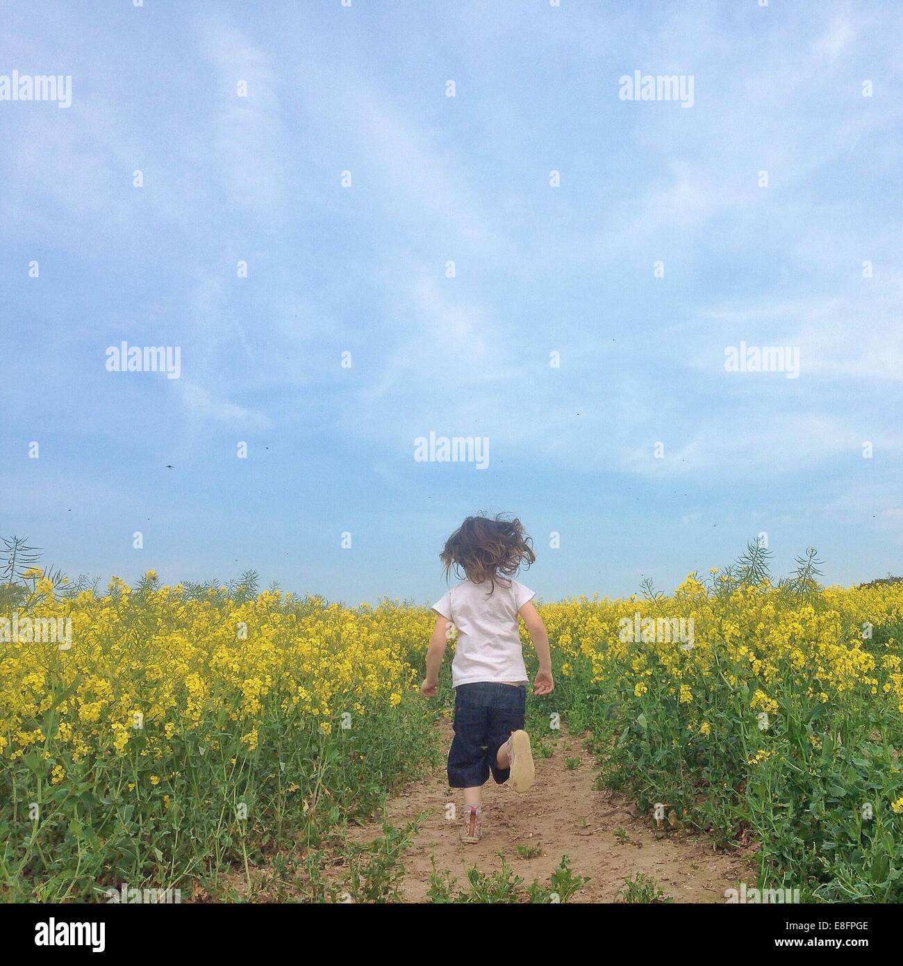 Rear view of girl running through rapeseed field Stock Photo