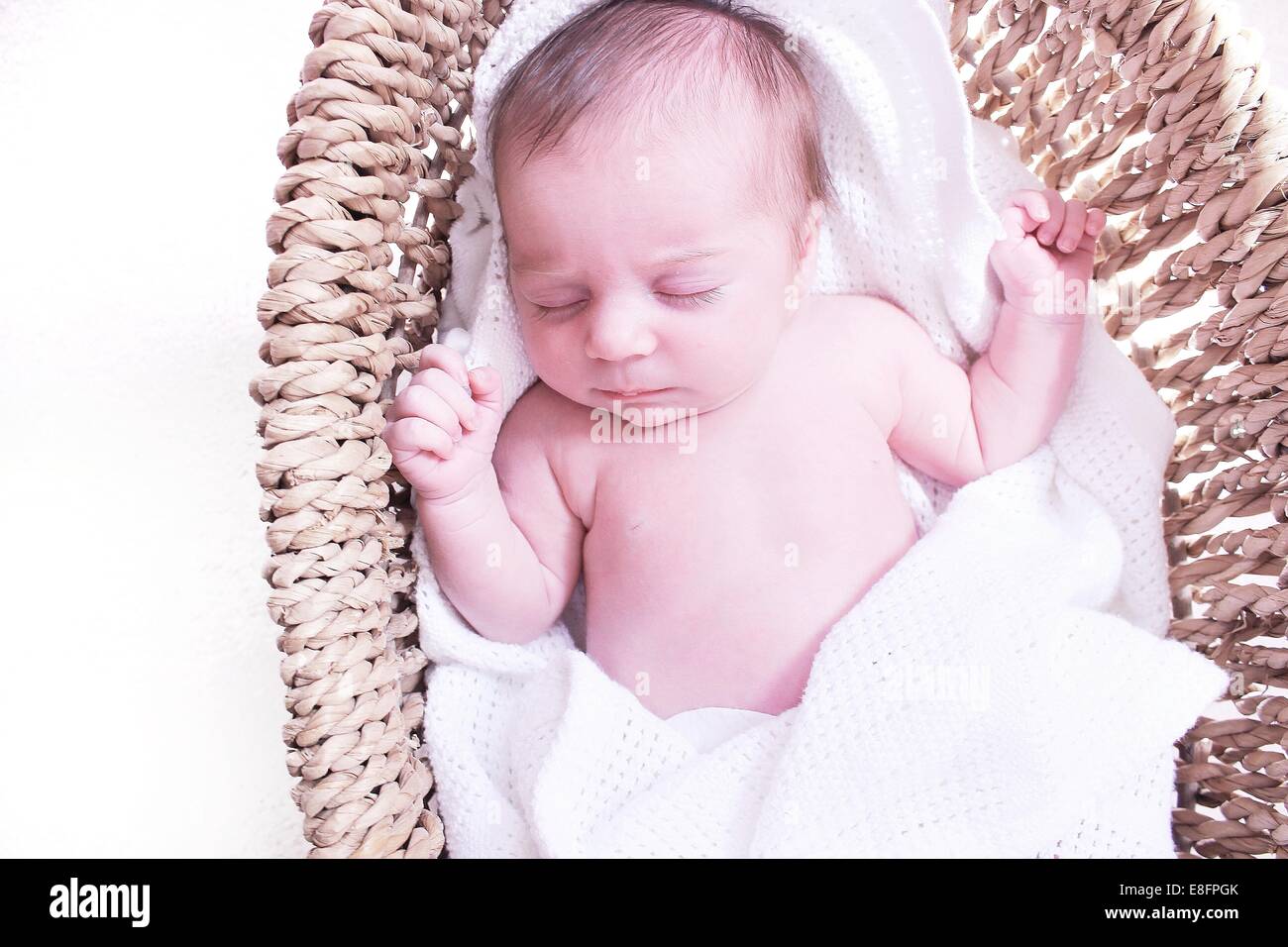 Moses in basket hires stock photography and images Alamy