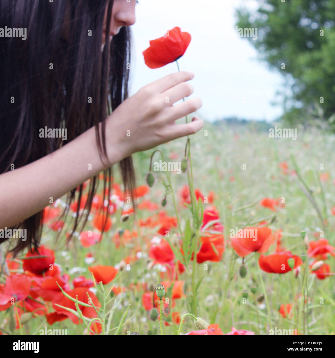 Girl smelling poppy flower Stock Photo