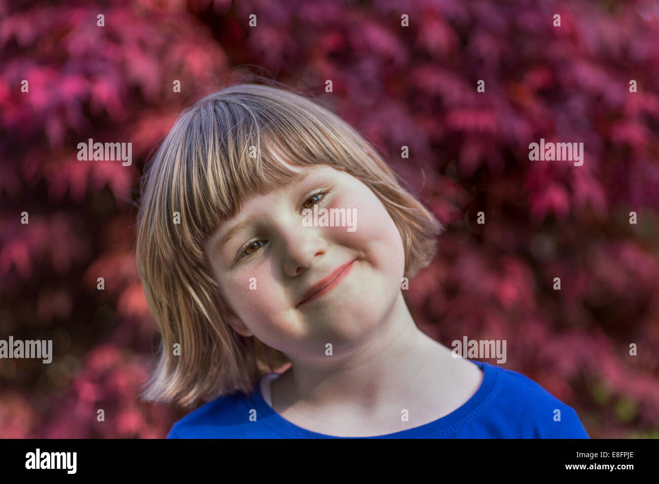 Young caucasian girl with red maple leaves as background Stock Photo
