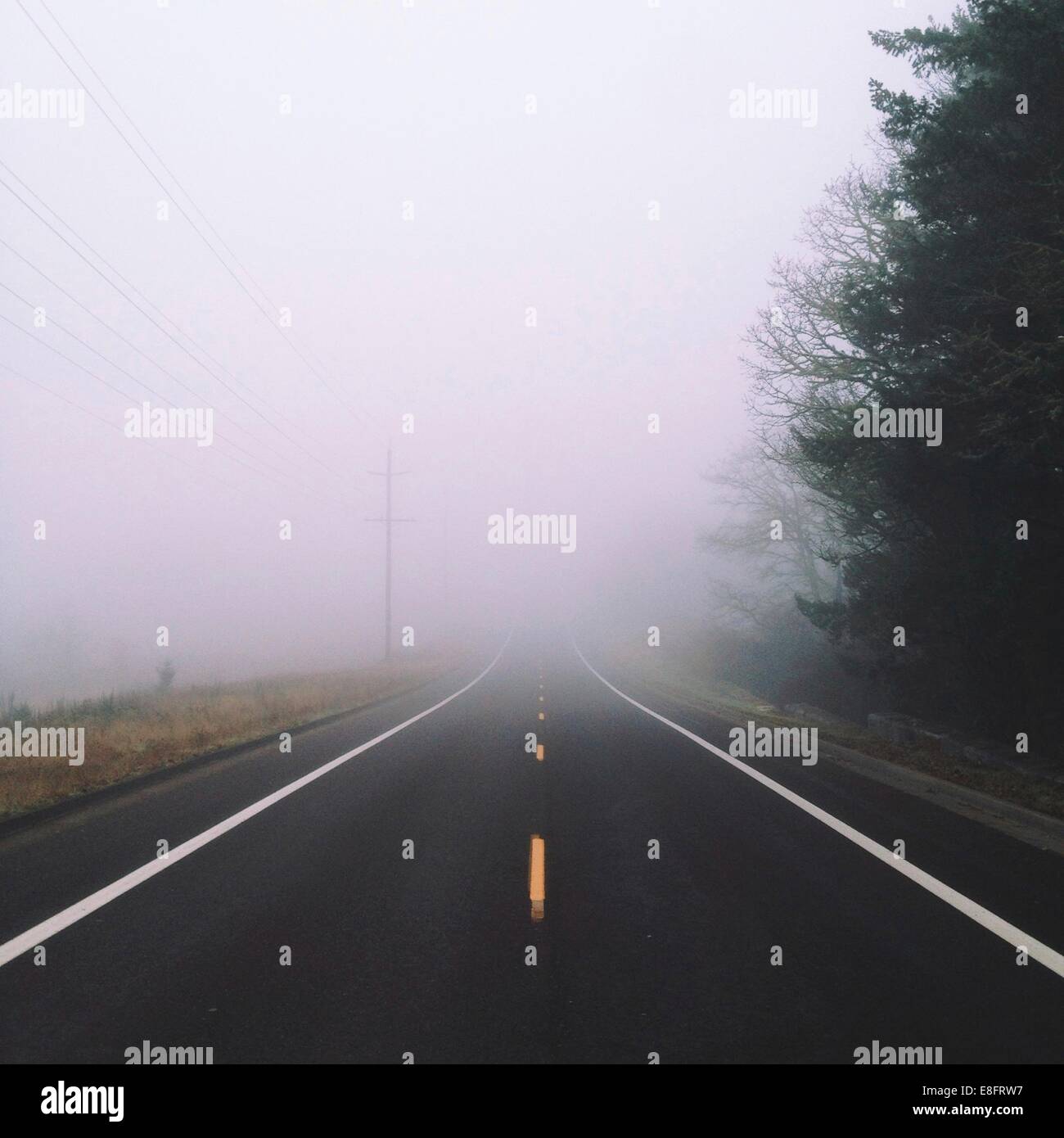 Fog down road Stock Photo