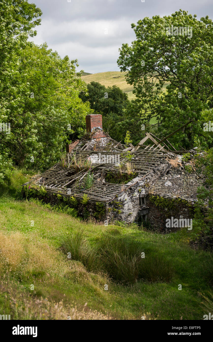A ruined roofless abandoned decaying old derelict isolated remote farm building house farmhouse Wales UK Stock Photo