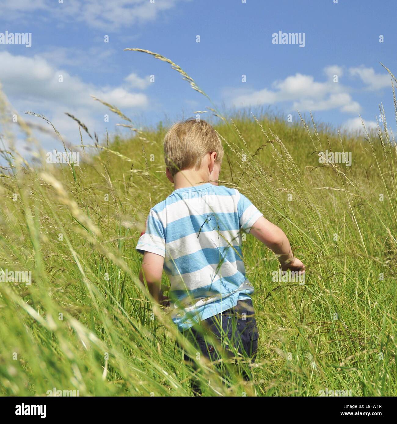 Rear view of boy running through wheat field Stock Photo
