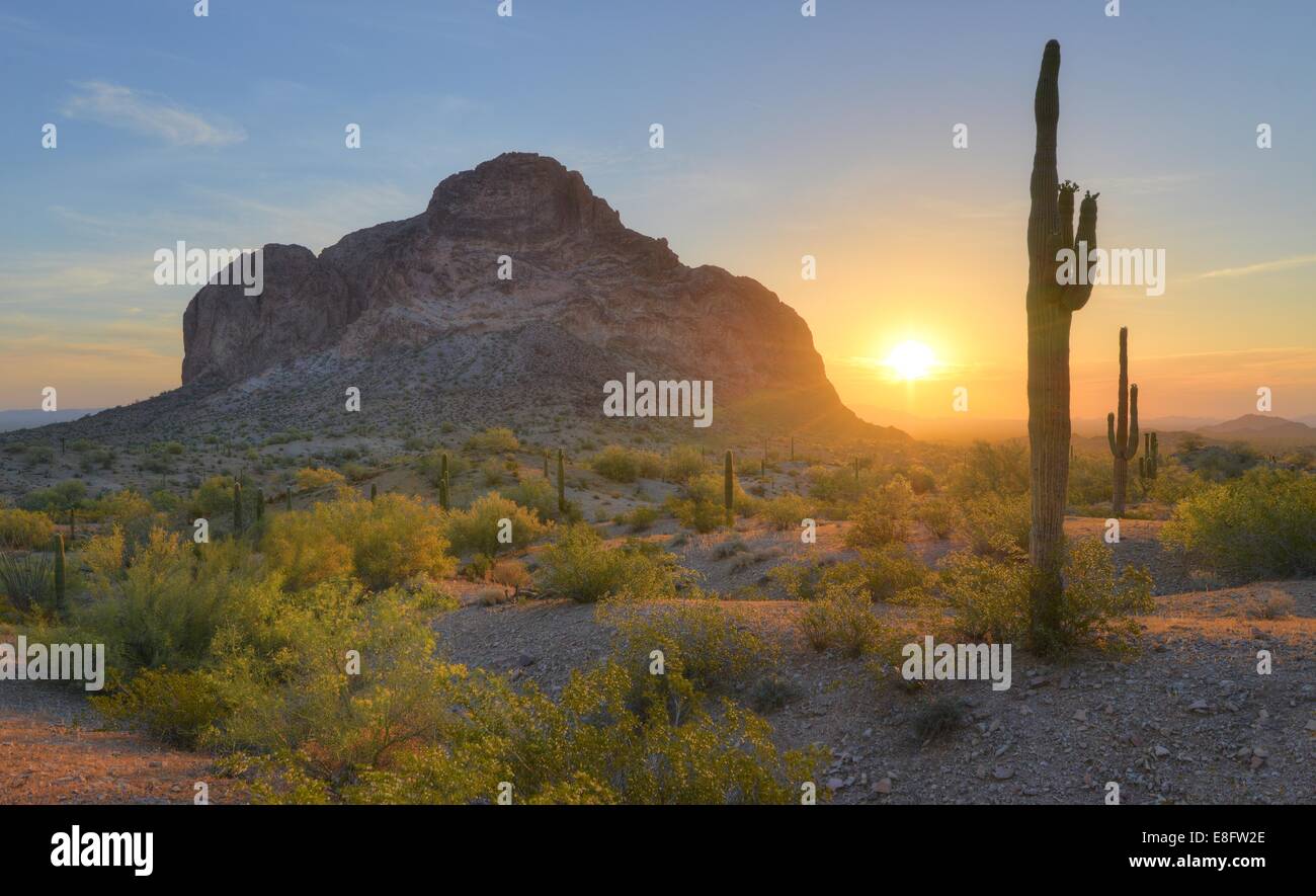 USA, Arizona, Eagletail Mountains Wilderness, Springtime Sunrise in Desert Stock Photo