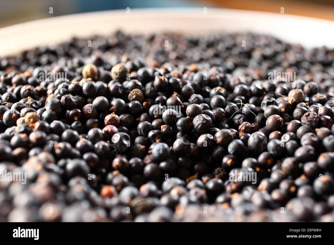 Juniper berries used in making of gin Stock Photo 74107841 Alamy