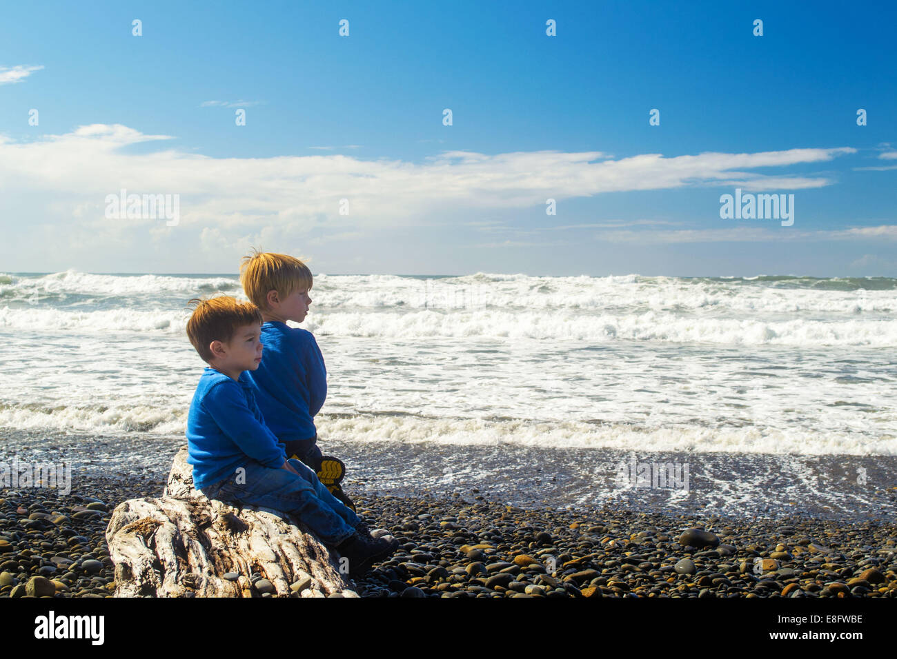 Two boys sitting on driftwood at the beach looking out to sea, USA Stock Photo