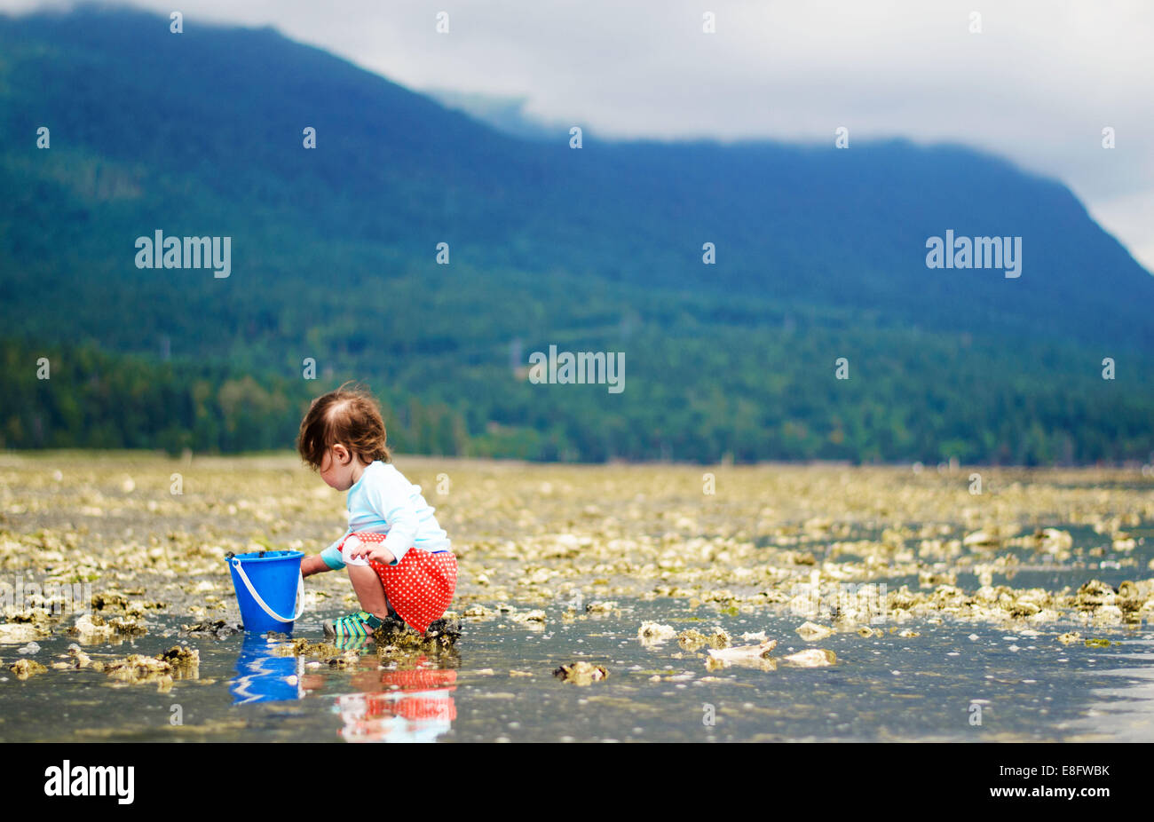 Girl crouching down collecting things on the beach, USA Stock Photo