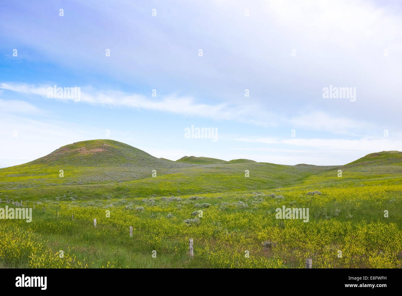 USA, Wyoming, Tranquil landscape Stock Photo