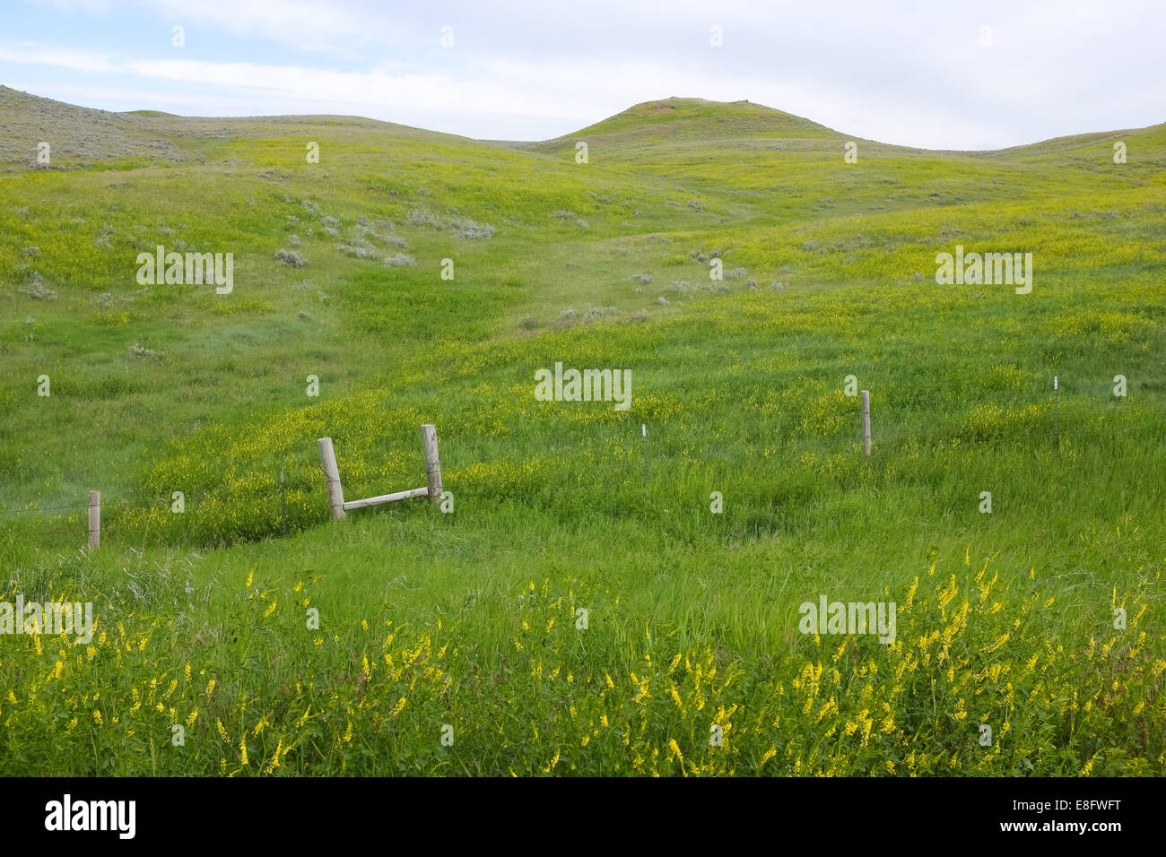 USA, Wyoming, Tranquil landscape Stock Photo