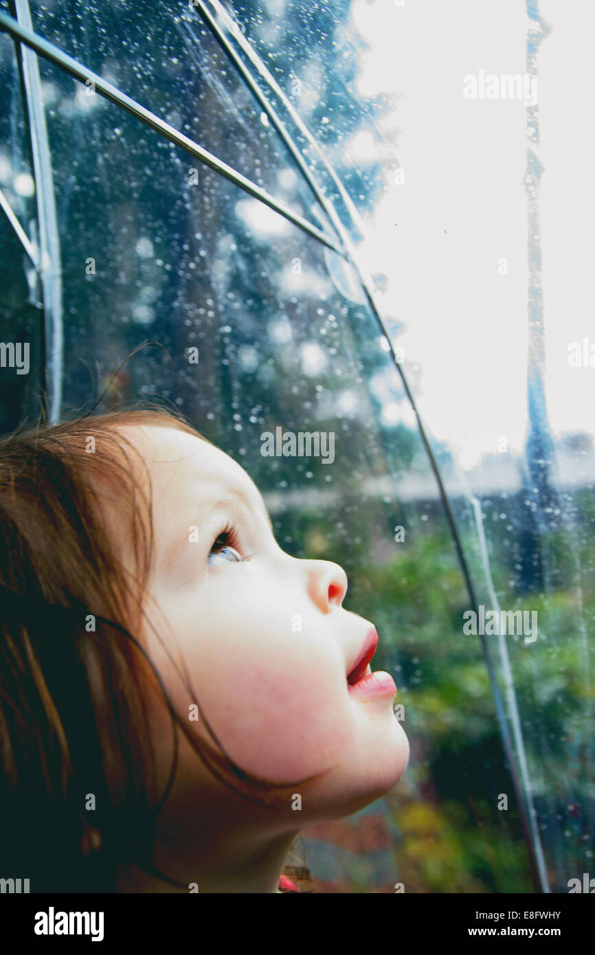 Girl standing in the rain looking through a transparent umbrella, USA Stock Photo Alamy