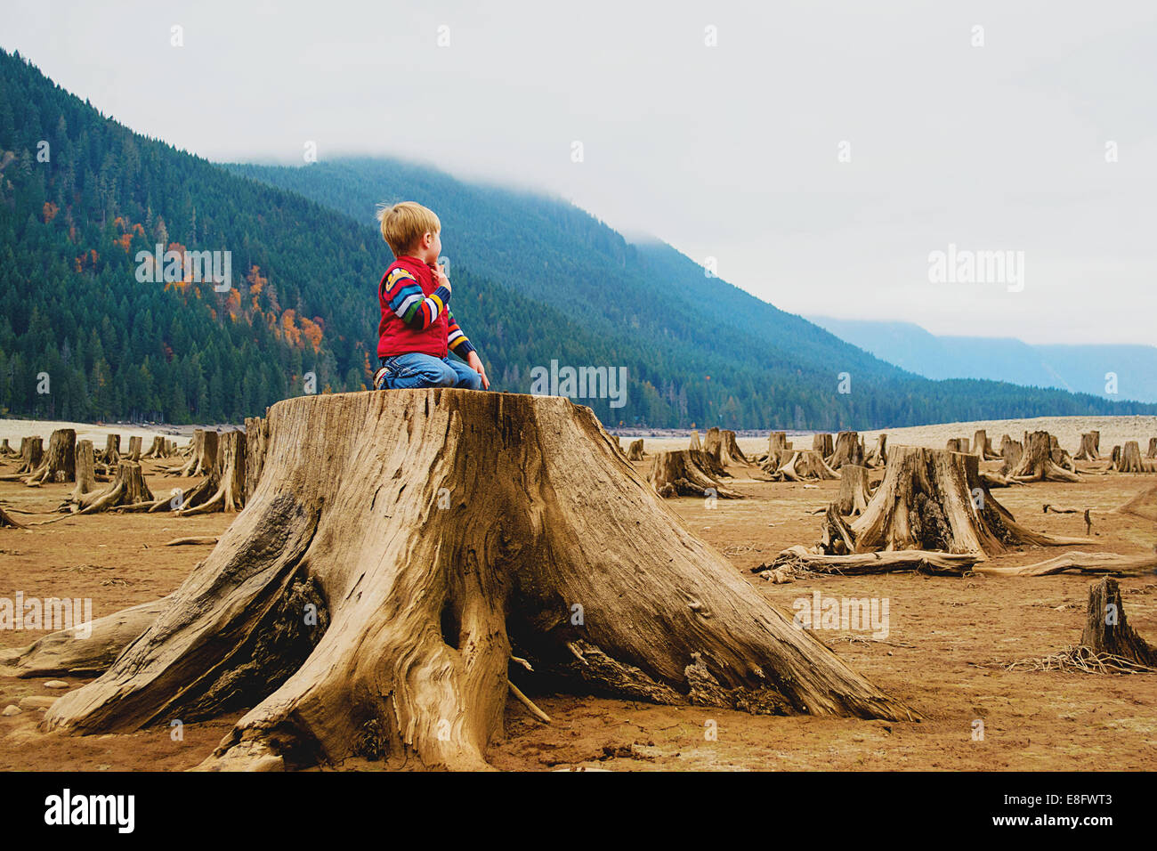 Boy kneeling on tree stump, USA Stock Photo