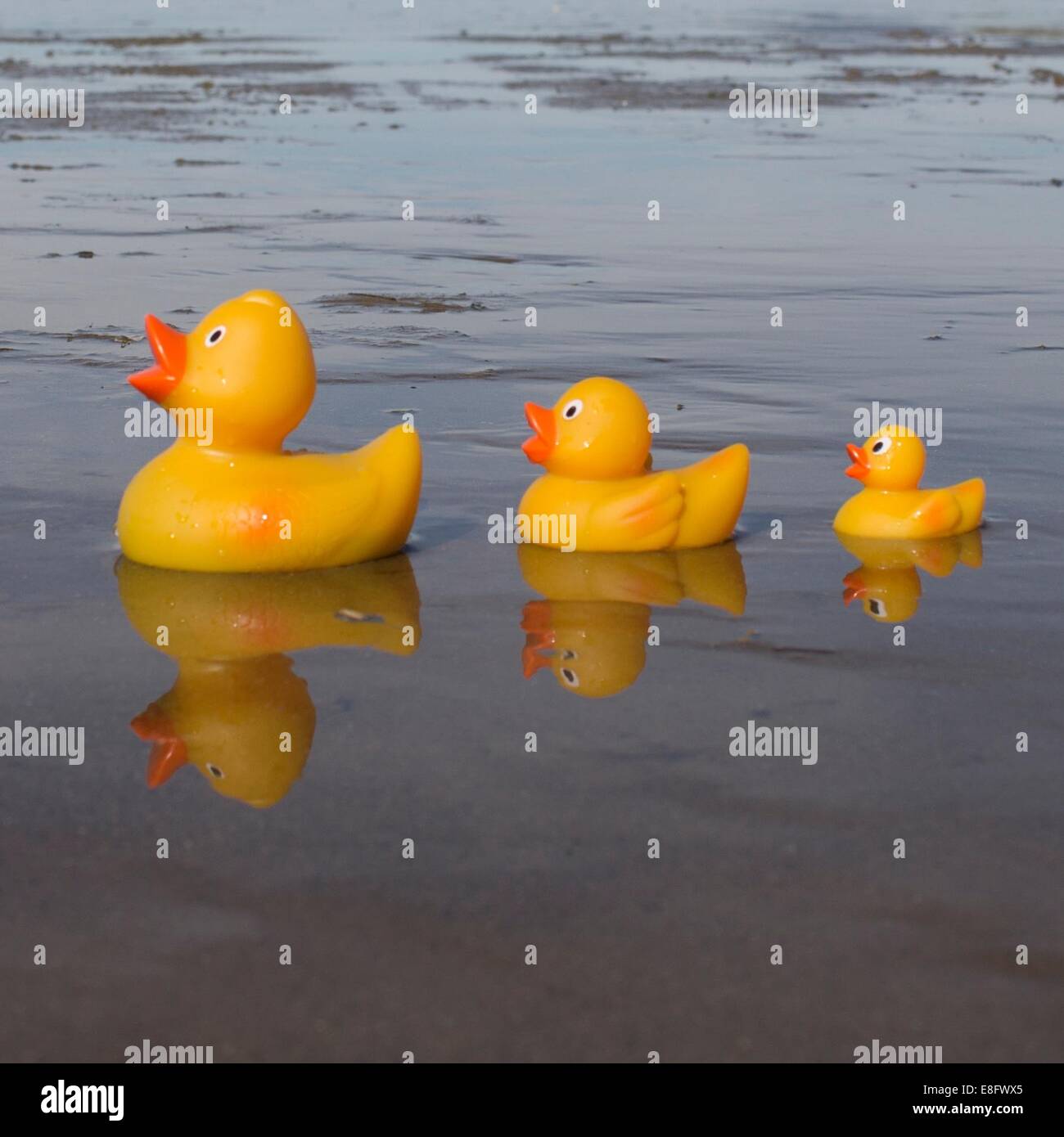 Three rubber ducks on beach Stock Photo