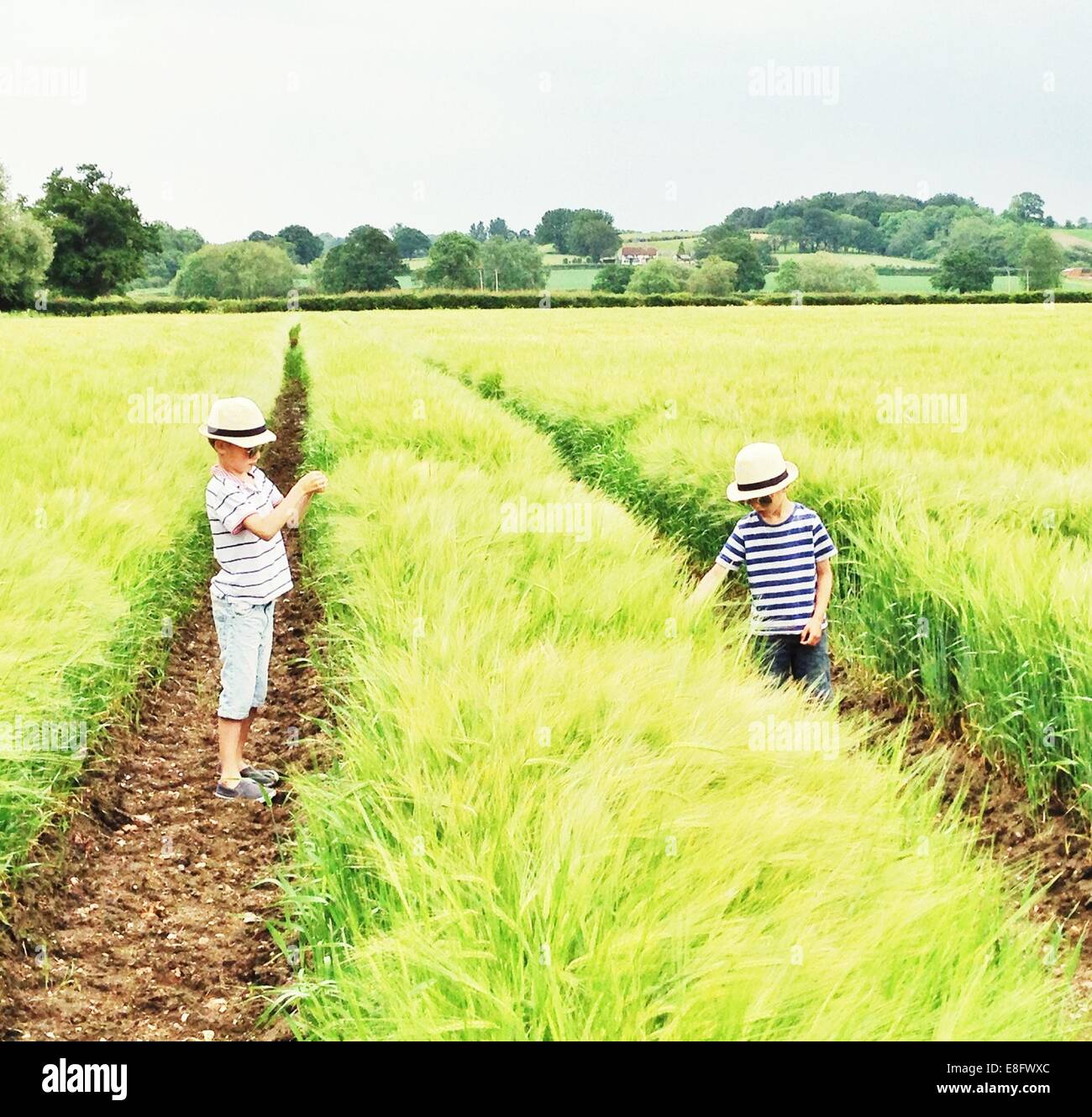 Boys (6-7) in field Stock Photo