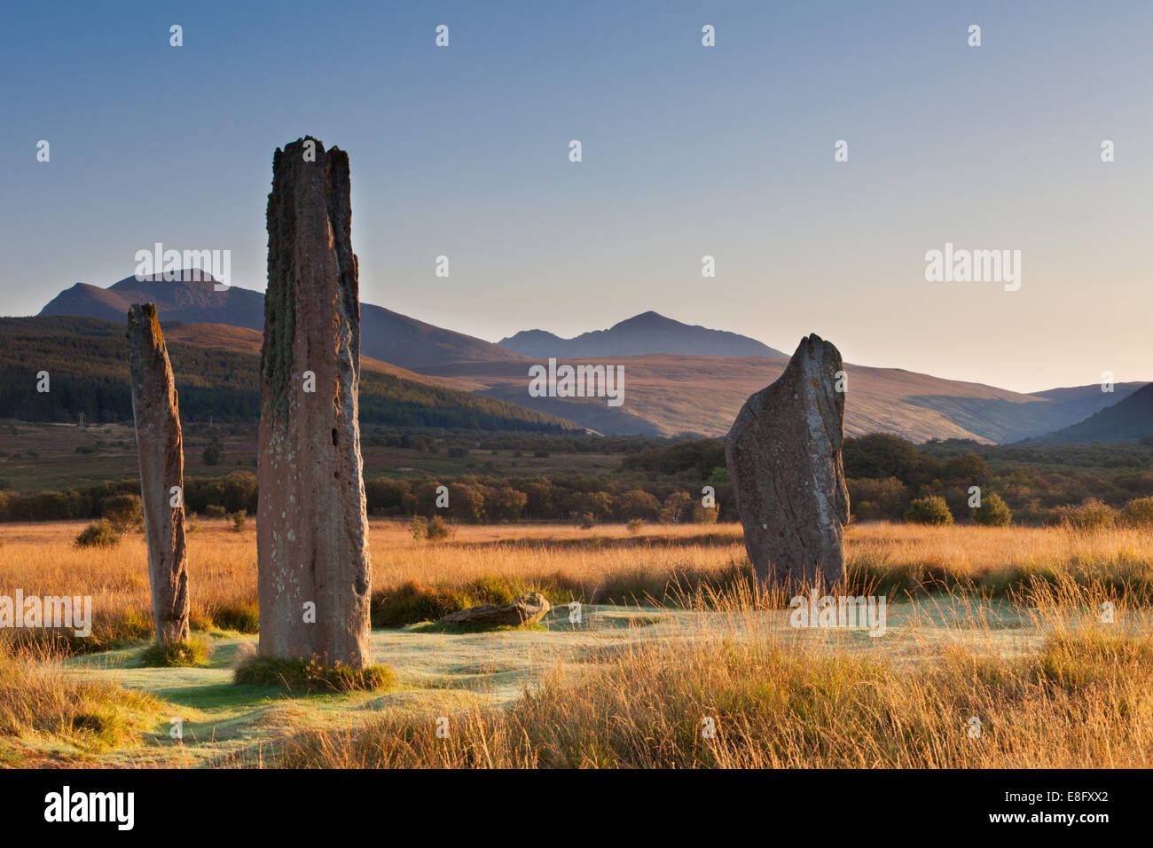 Machrie Moor standing stones early morning Isle of Arran, Scotland Stock Photo