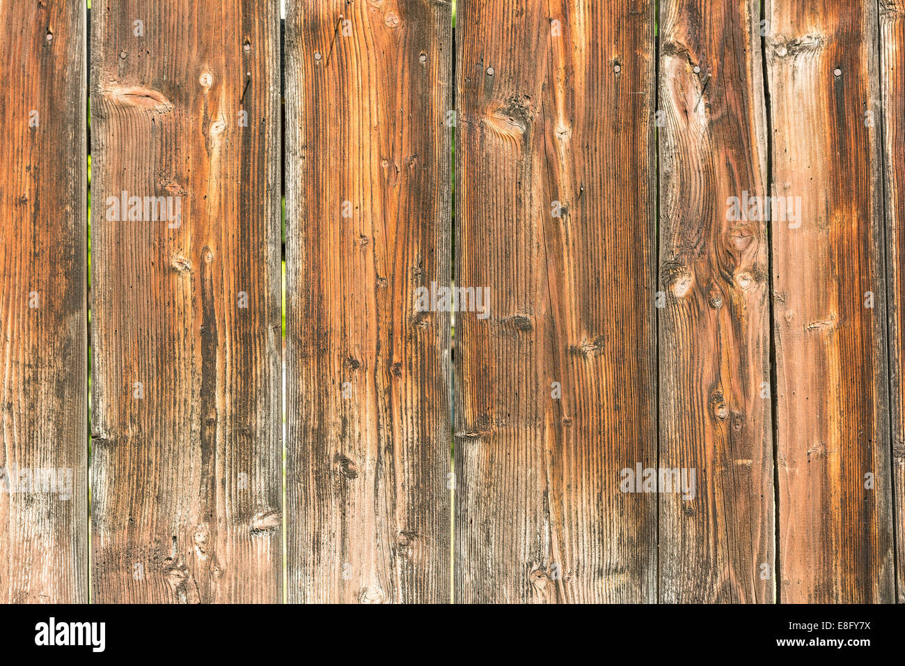 Pine Wood Board Fence Texture Close Up Stock Photo