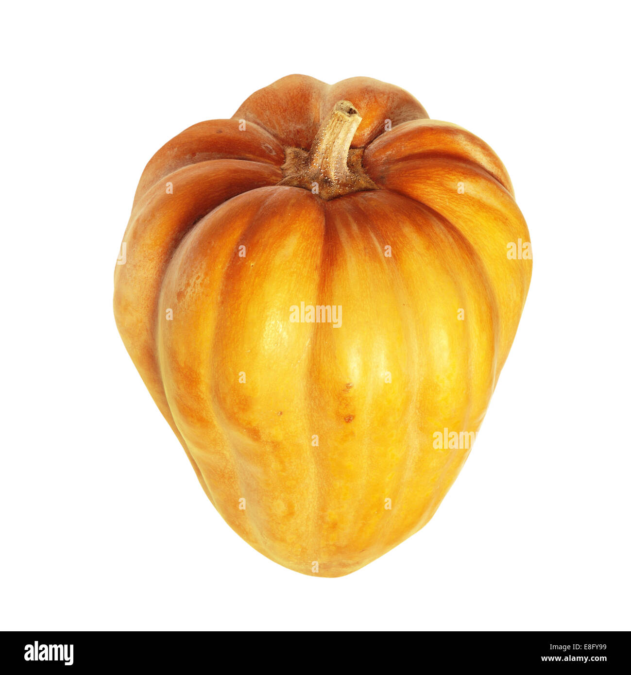 Fresh orange pumpkin isolated on white background with path Stock Photo ...