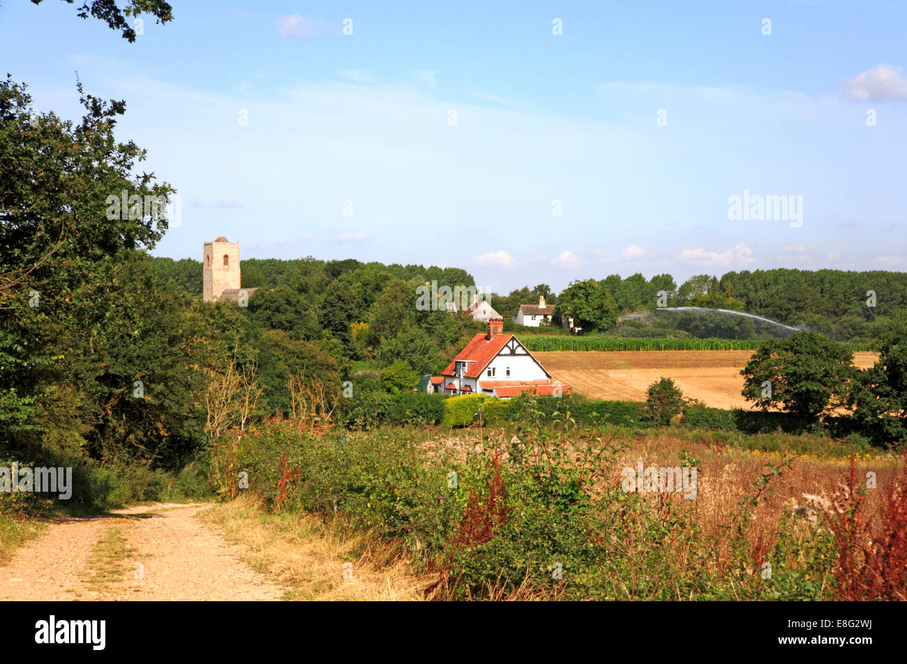 Houses For Sale Claxton Norfolk at Jose Jacobs blog