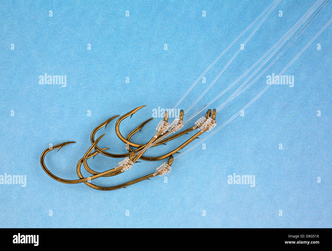 A very close view of barbed fish hooks with nylon leaders on a blue background. Stock Photo
