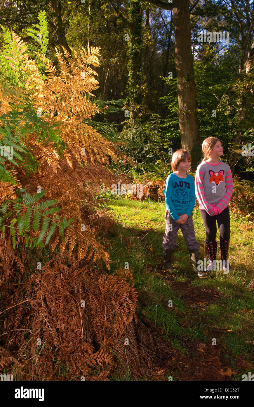 Brother & sister exploring the great outdoors, Bordon, Hampshire, UK. Stock Photo