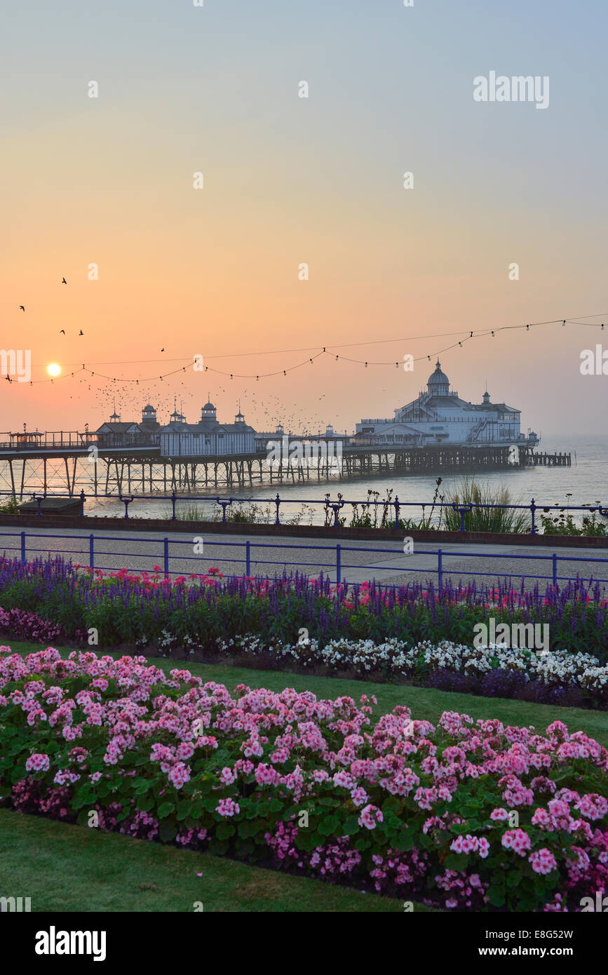 Eastbourne Pier and Carpet Gardens. East Sussex Stock Photo Alamy