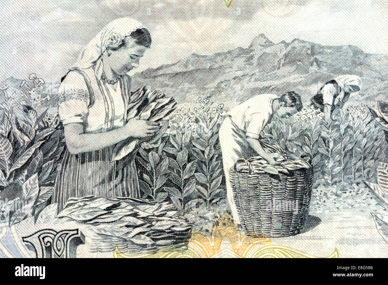 Detail from a 1950s Bulgarian 200 Lev banknote showing Stock Photo