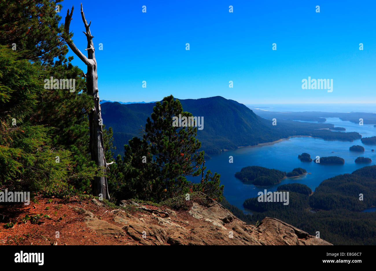 View from the top of Lone cone mountain looking at part of meares island and clayoquot sound Stock Photo