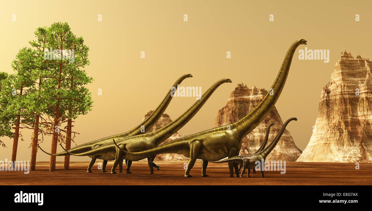 A herd of Mamenchisaurus dinosaurs make their way to better feeding grounds during the Jurassic