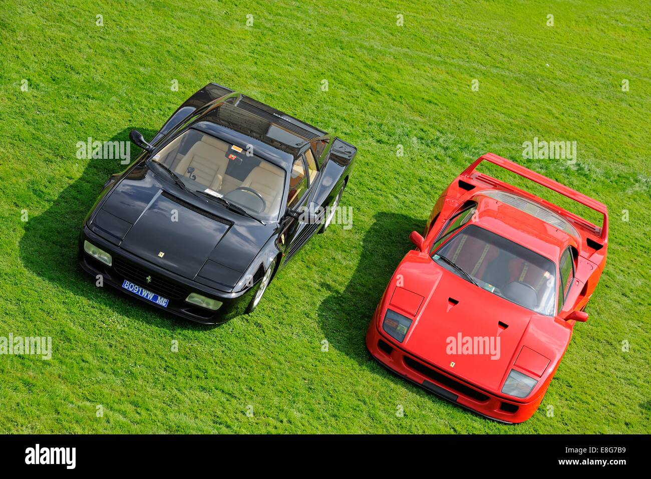 Ferrari Testarossa and F40 standing on grass at a classic car show Stock Photo