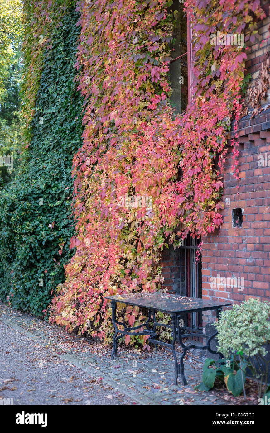 Wroclaw Botanical Gardens in colorful autumn Stock Photo