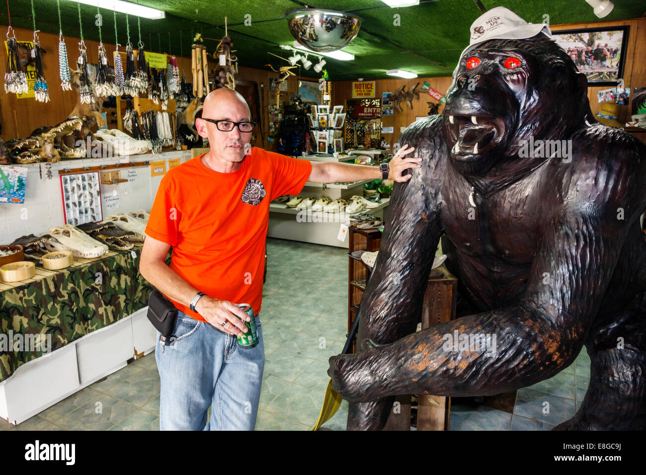 Skunk Ape Headquarters High Resolution Stock Photography and Images - Alamy