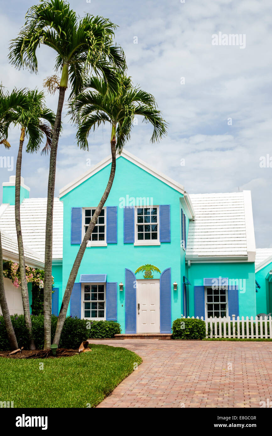 Naples Florida,house houses home houses homes residence,home,palm trees