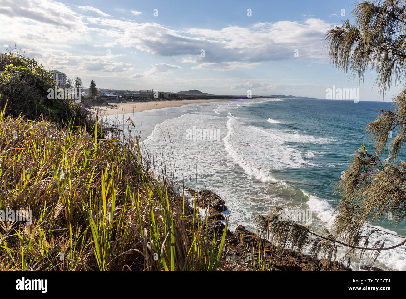 Dune vegetation on headland overlooking Coolum Beach, Sunshine Coast, Queensland, Australia Stock Photo