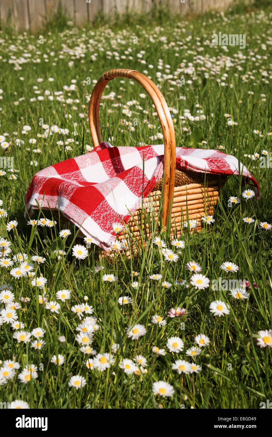 Picnic basket outdoor on green grass covered with red and white babric in rural scennery Stock Photo