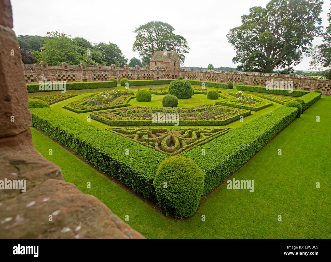 Formal 17th century walled gardens with low hedges, topiary, roses, lawns under blue sky at historic Edzell castle, Scotland Stock Photo