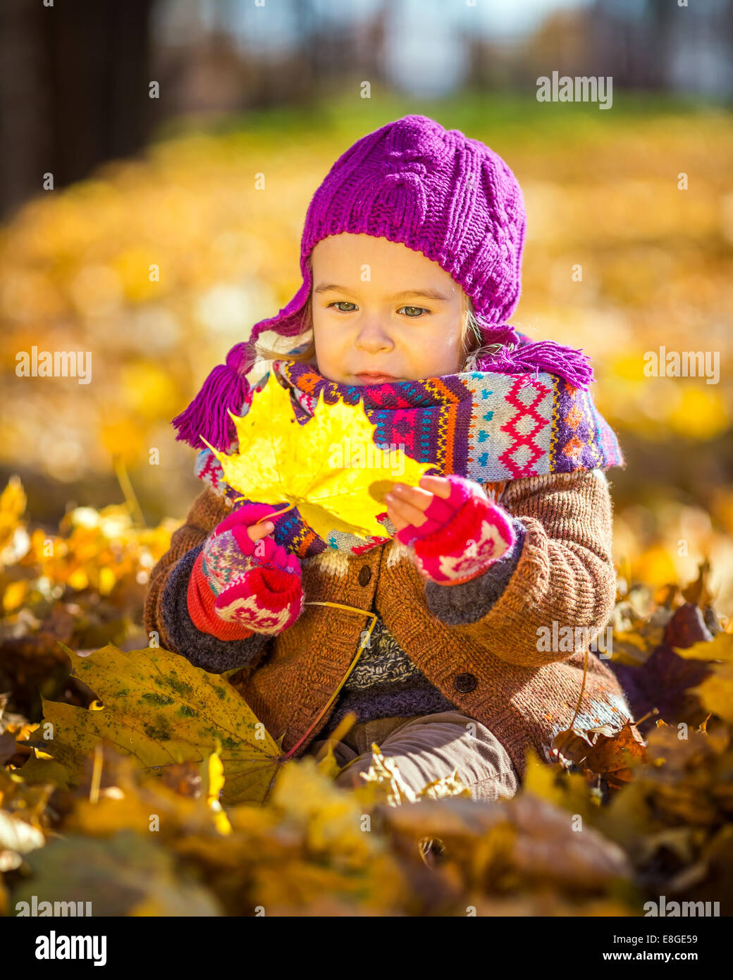 Little girl playing with autumn leaves Stock Photo - Alamy