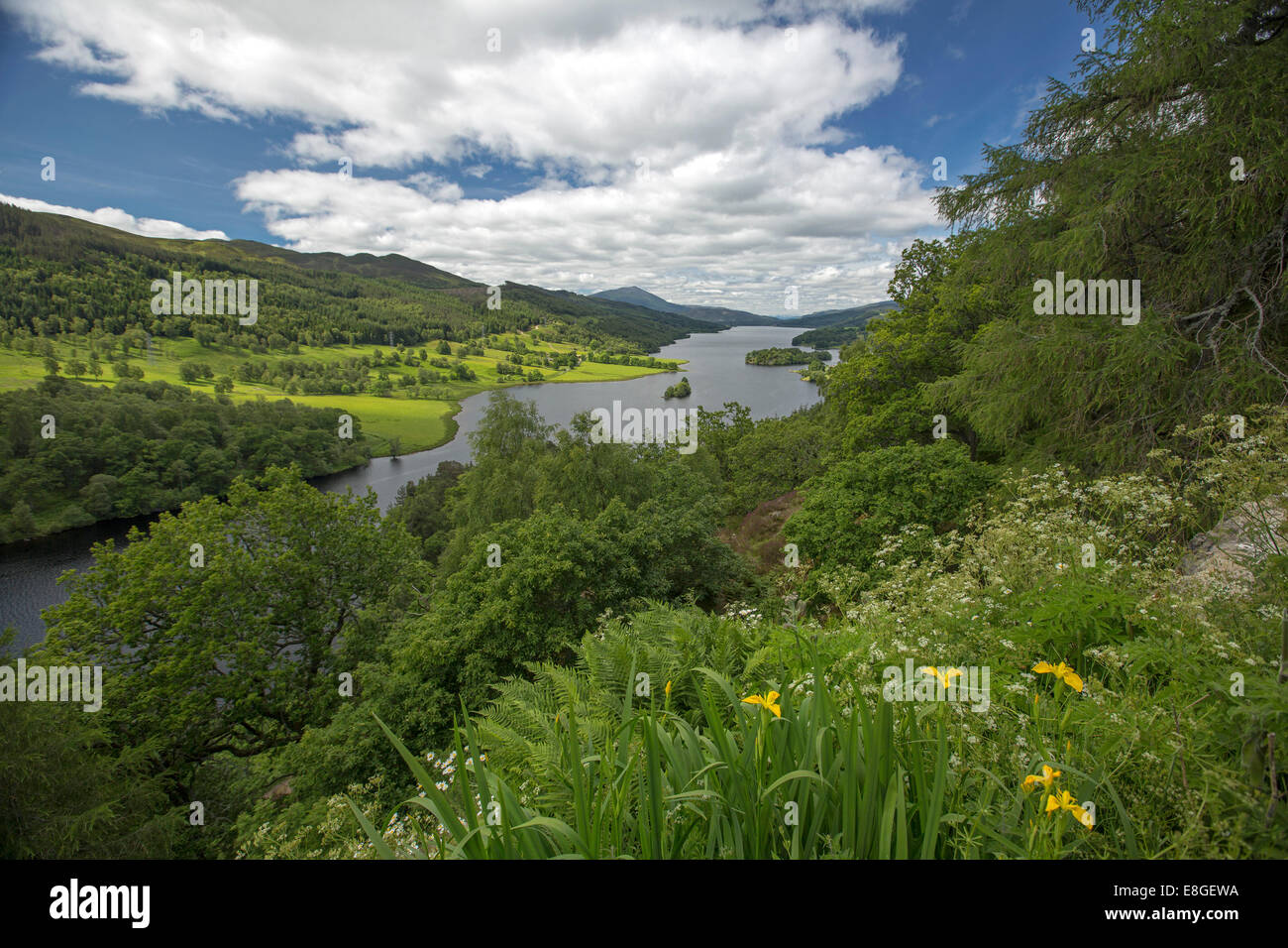 Stunning vast landscape of wildflowers, Loch Tummel, woodlands and distant mountains from Queens View lookout Pitlochry Scotland Stock Photo